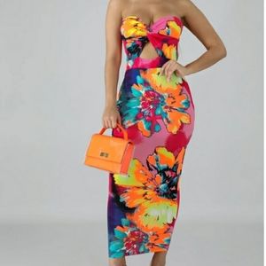Color Splash Maxi Dress